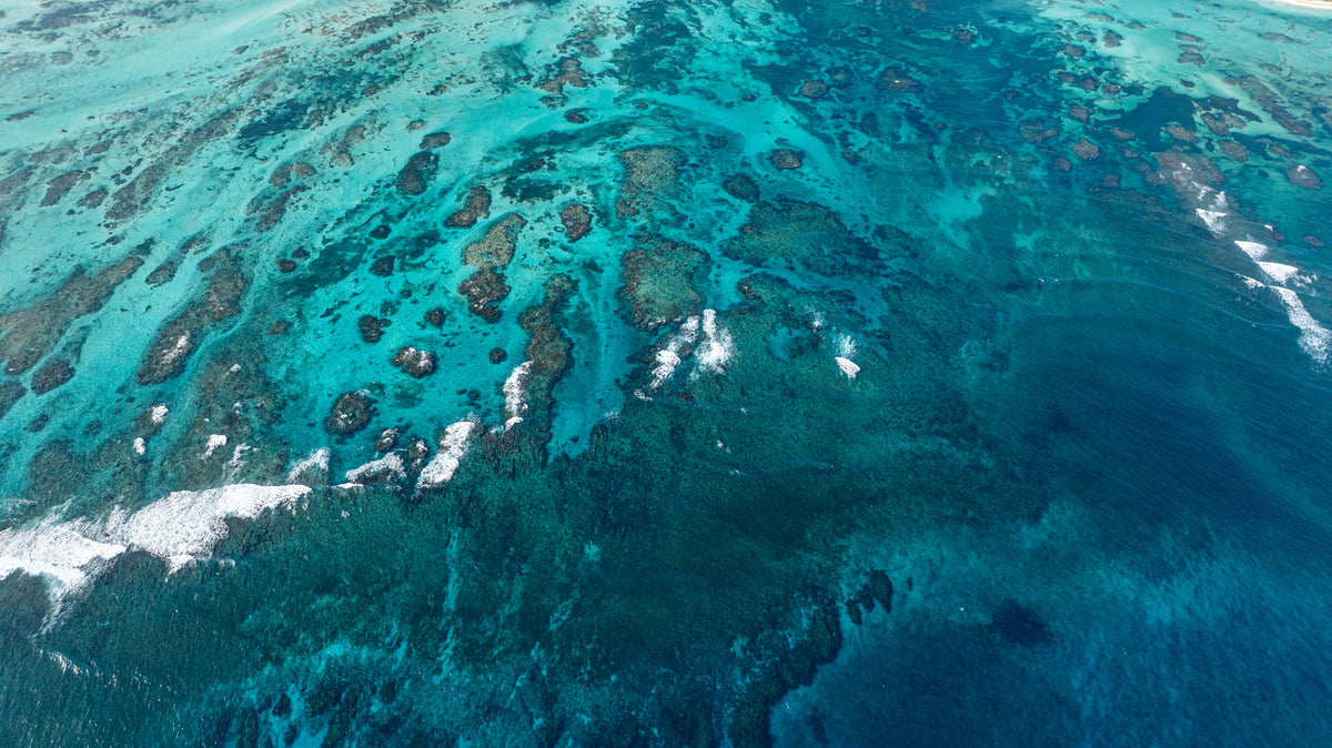 The Barrier Reef