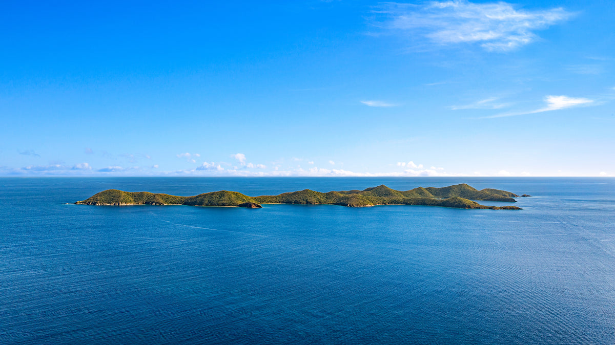 The Pirate's Cove