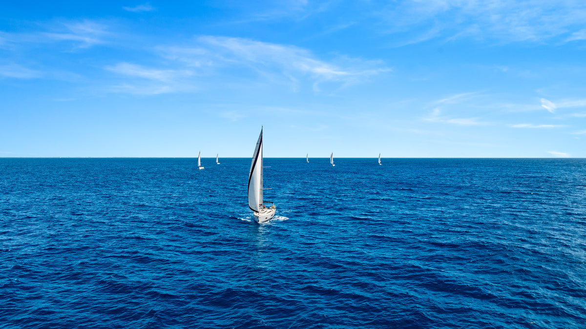 Safe in the Harbour